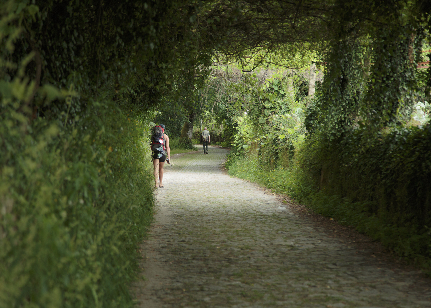 A Flip-Flopping Peregrino On Camino - Image 12
