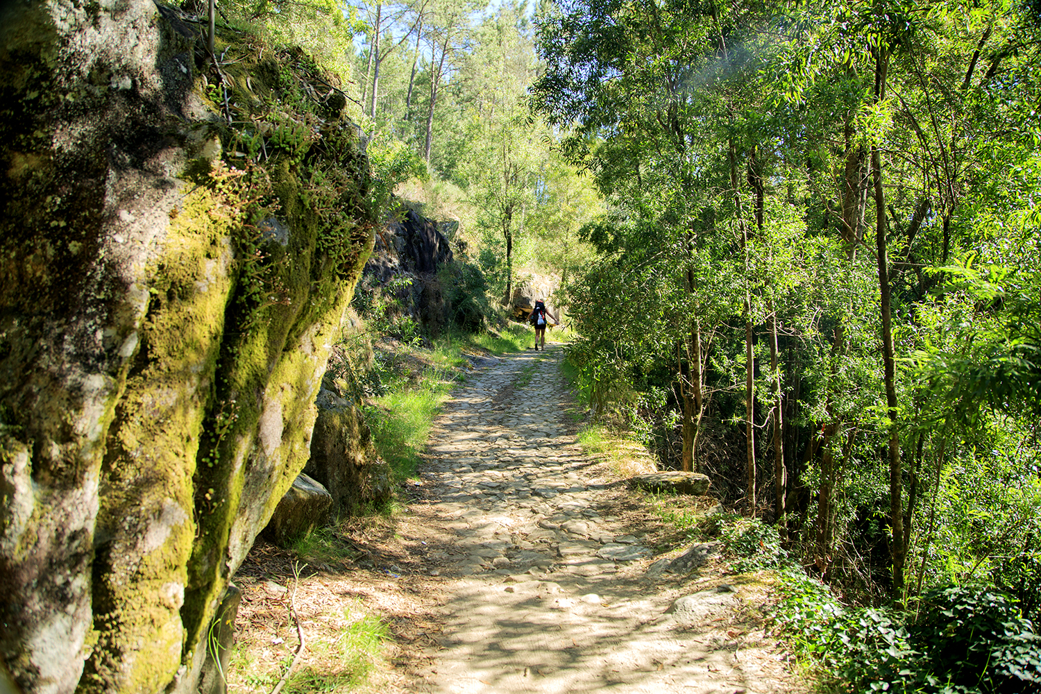 A Flip-Flopping Peregrino On Camino - Image 45