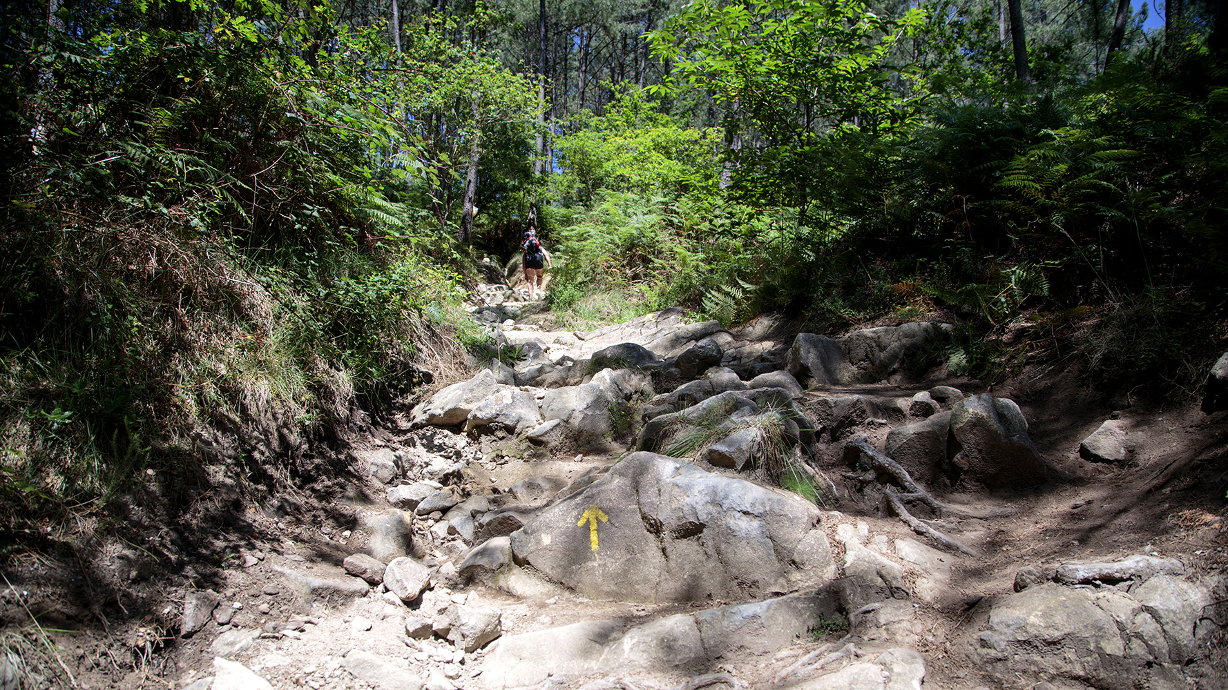 A Flip-Flopping Peregrino On Camino - Image 48