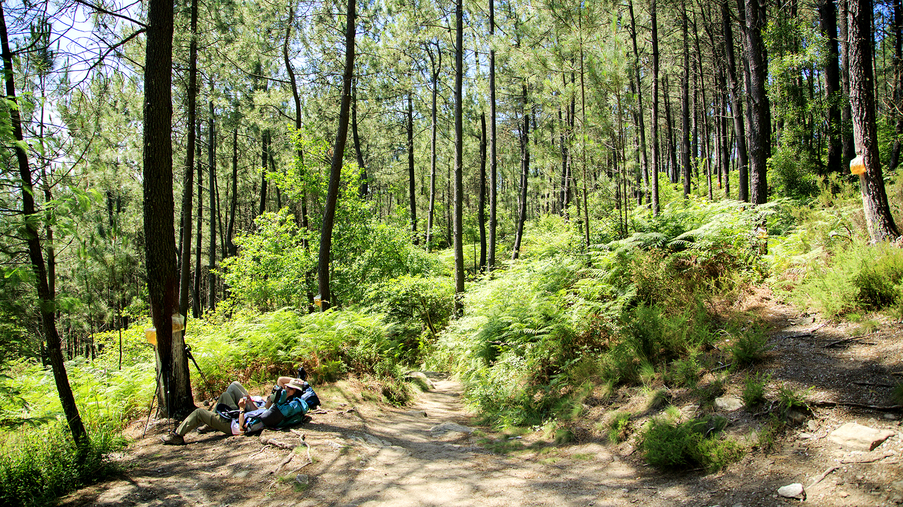 A Flip-Flopping Peregrino On Camino - Image 50