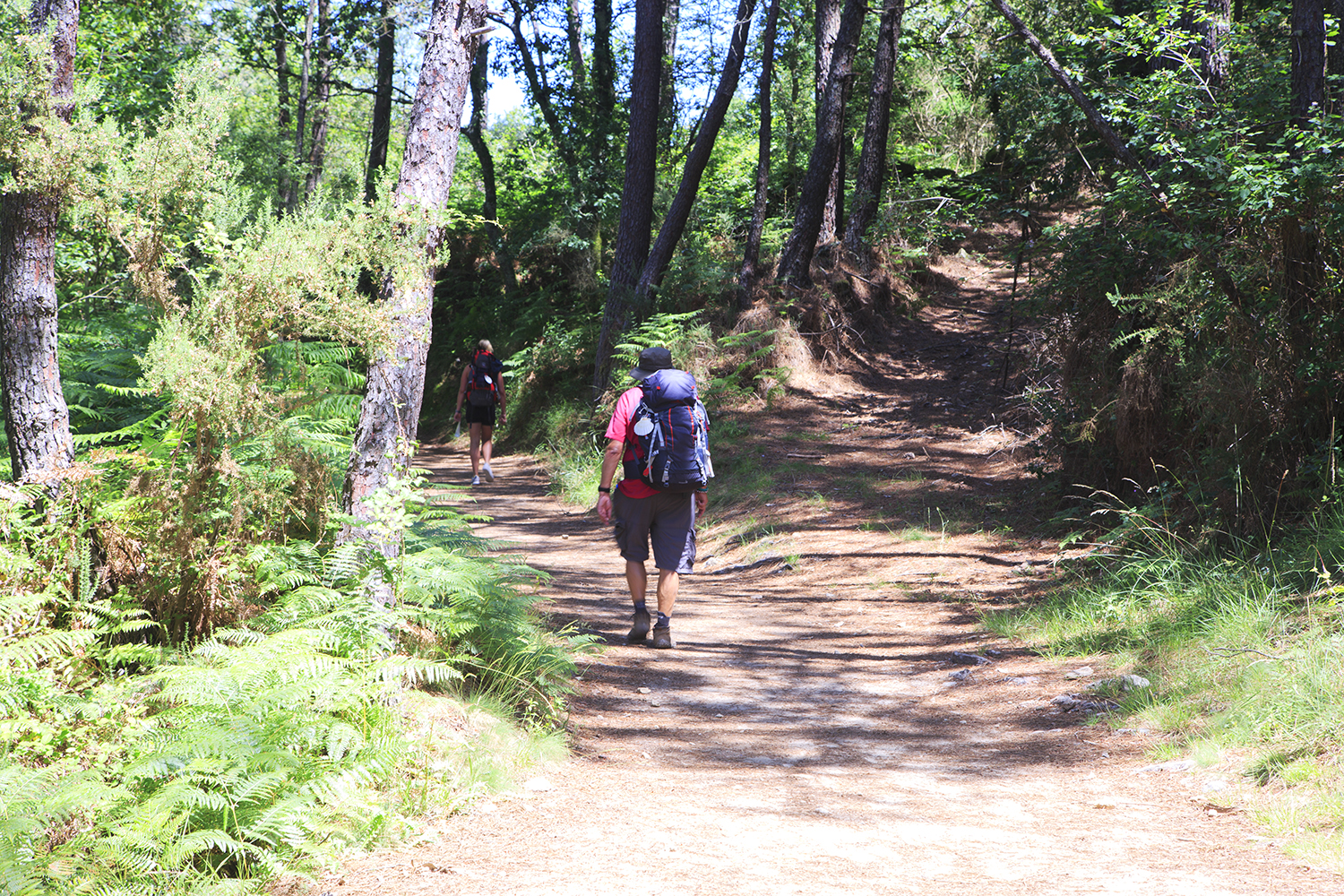 A Flip-Flopping Peregrino On Camino - Image 51