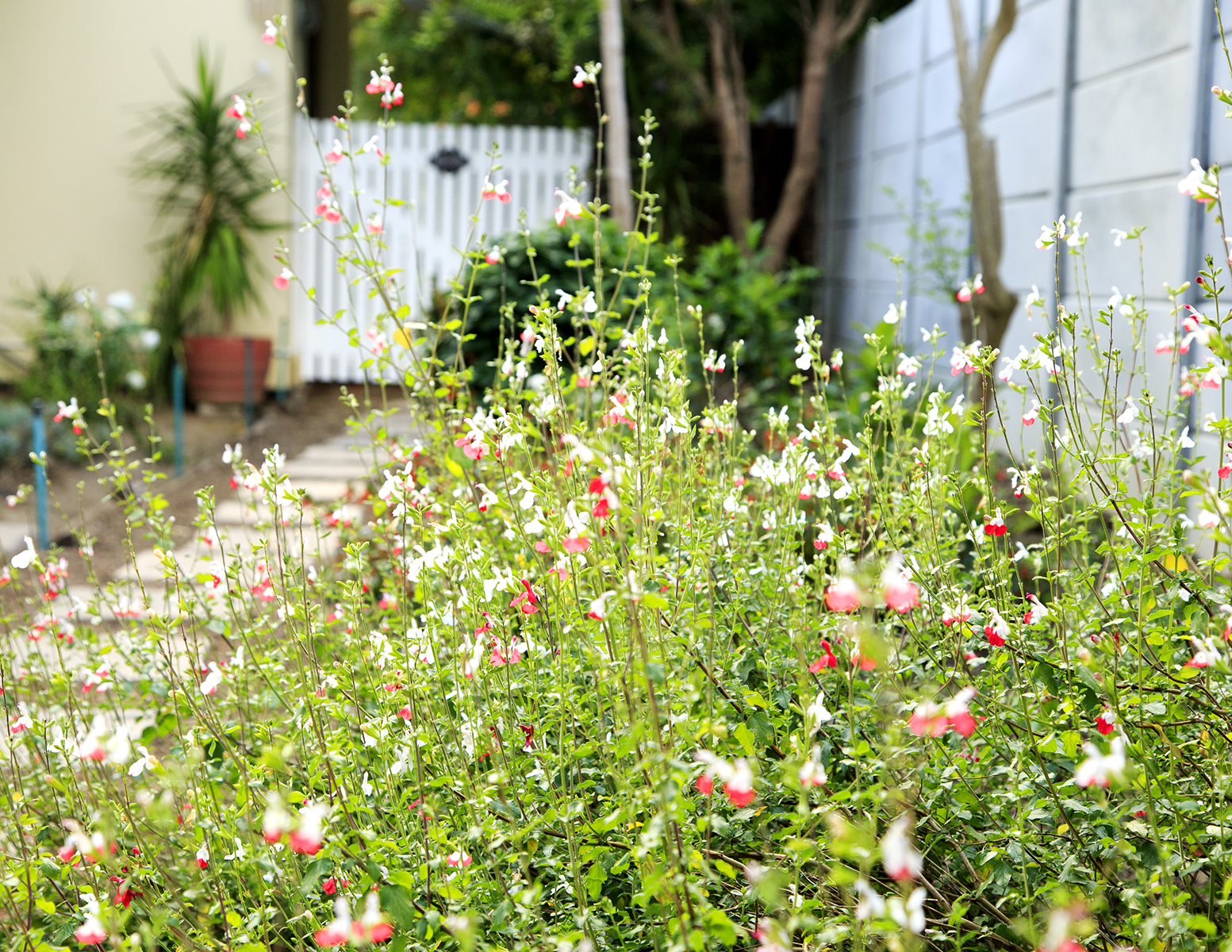 A Knight's Stay - Somerset West - Image 8