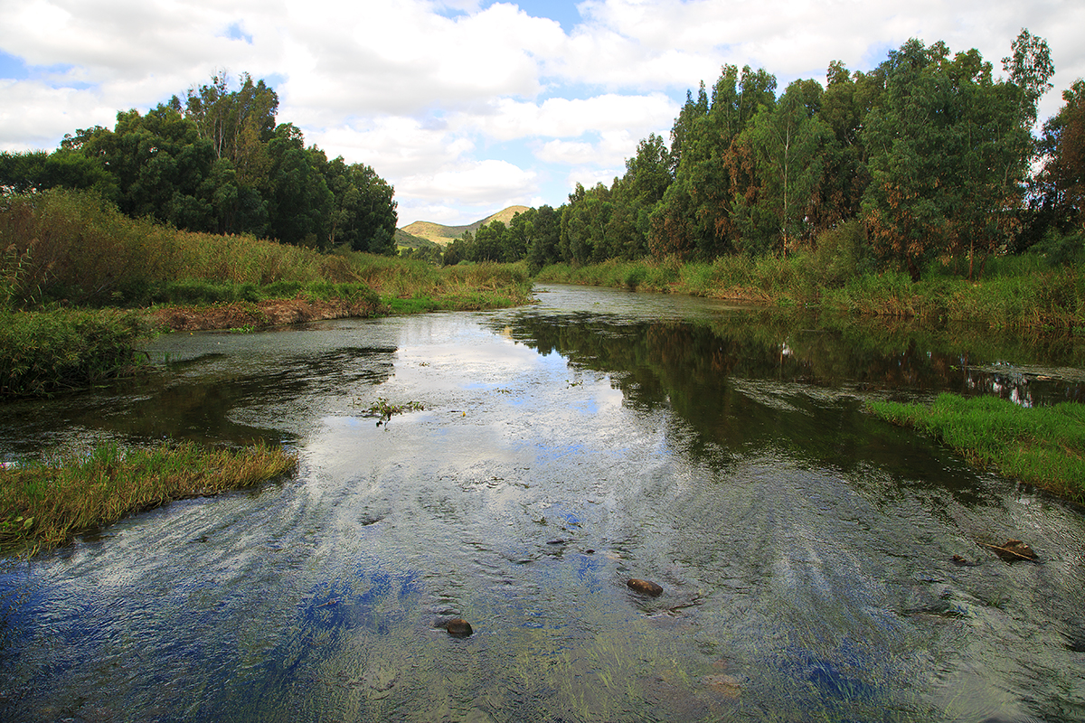 Bonnievale River Lodge And White Linen Camping - Image 13