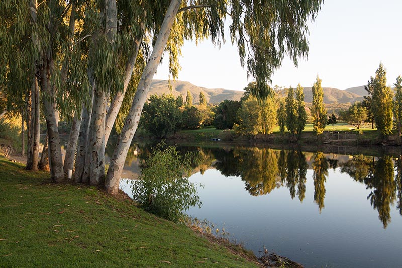 Bonnievale River Lodge And White Linen Camping - Image 4