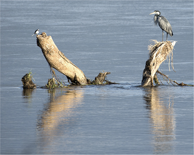 Getting It Right - Camping At Mana Pools - Image 26