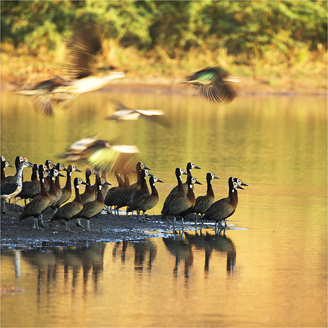 Getting It Right - Camping At Mana Pools - Image 28