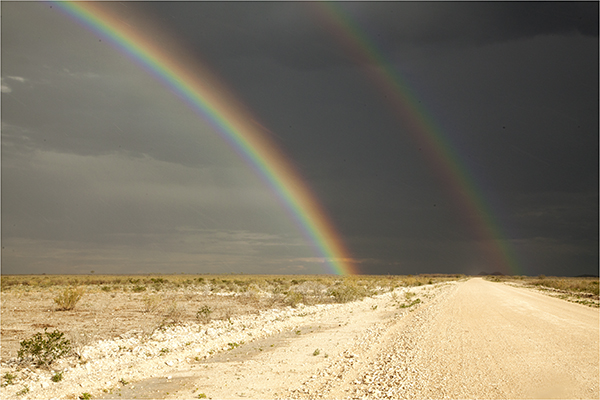 In Etosha We Slosha In Galosha - Image 1