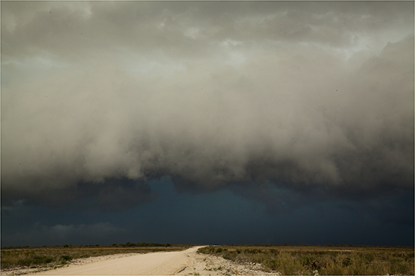 In Etosha We Slosha In Galosha - Image 2