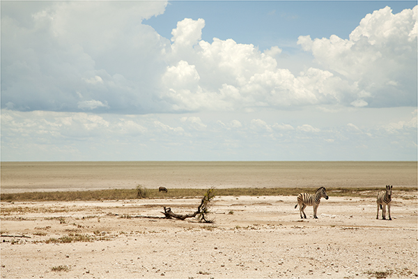 In Etosha We Slosha In Galosha - Image 3