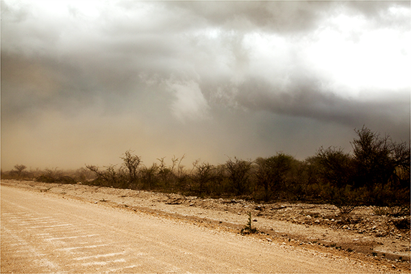 In Etosha We Slosha In Galosha - Image 6