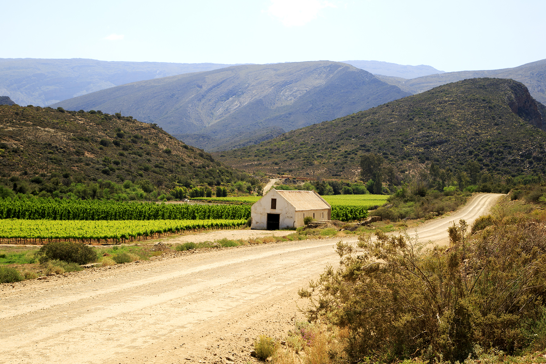 Making Memories In Montagu - Image 27