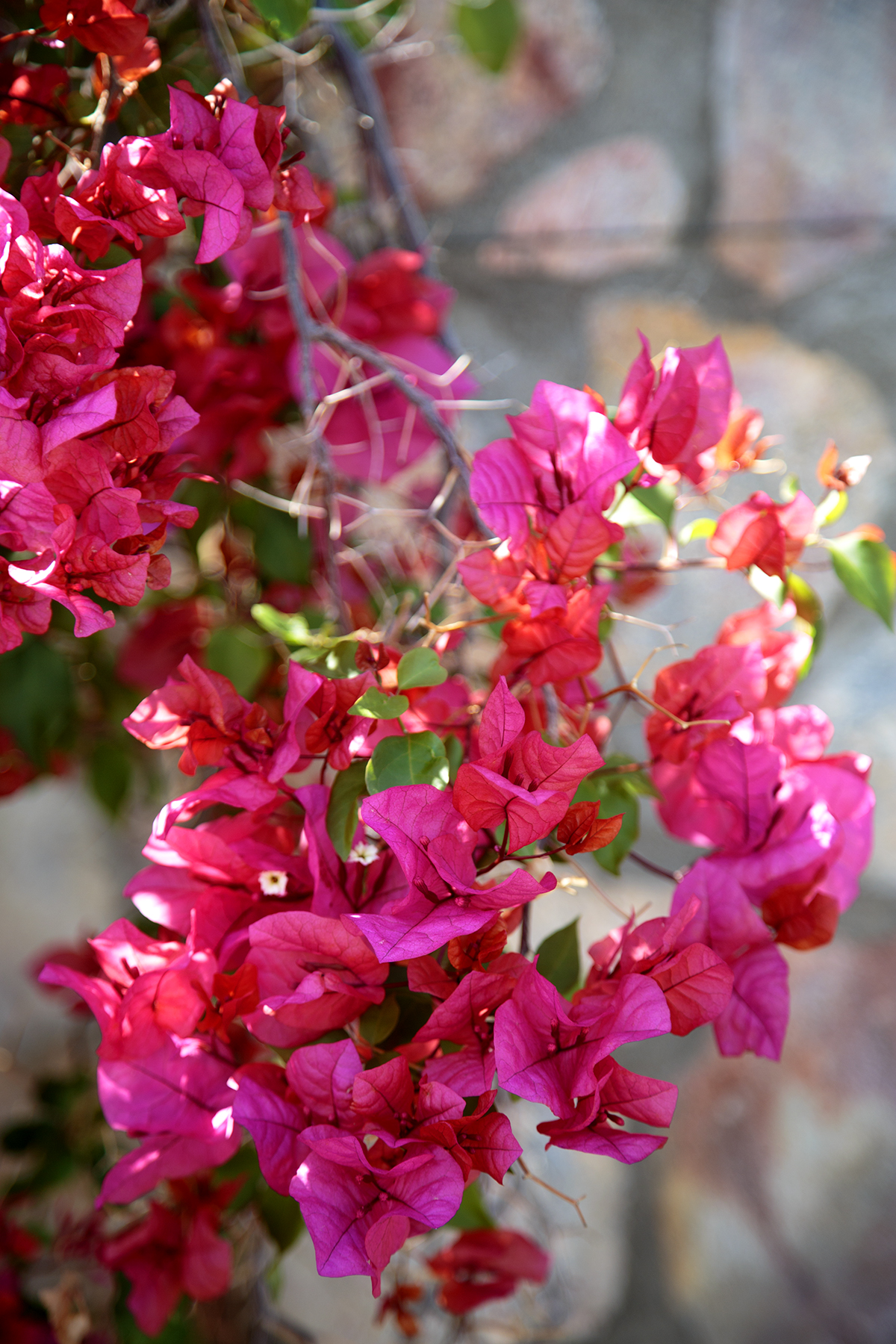 Making Memories In Montagu - Image 7