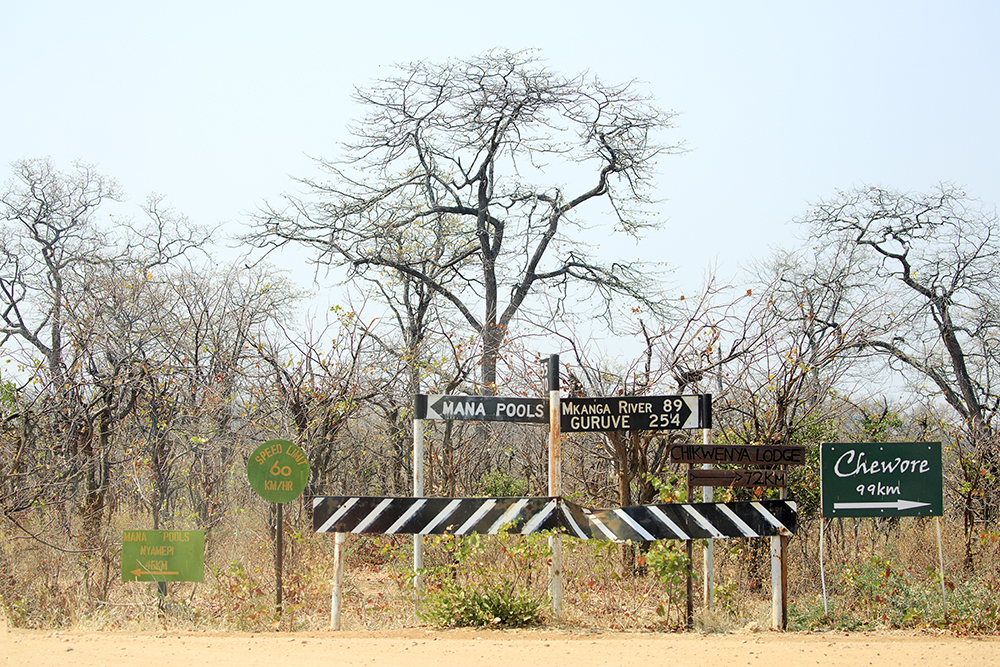 Mangwanani! Mana Pools - Image 1