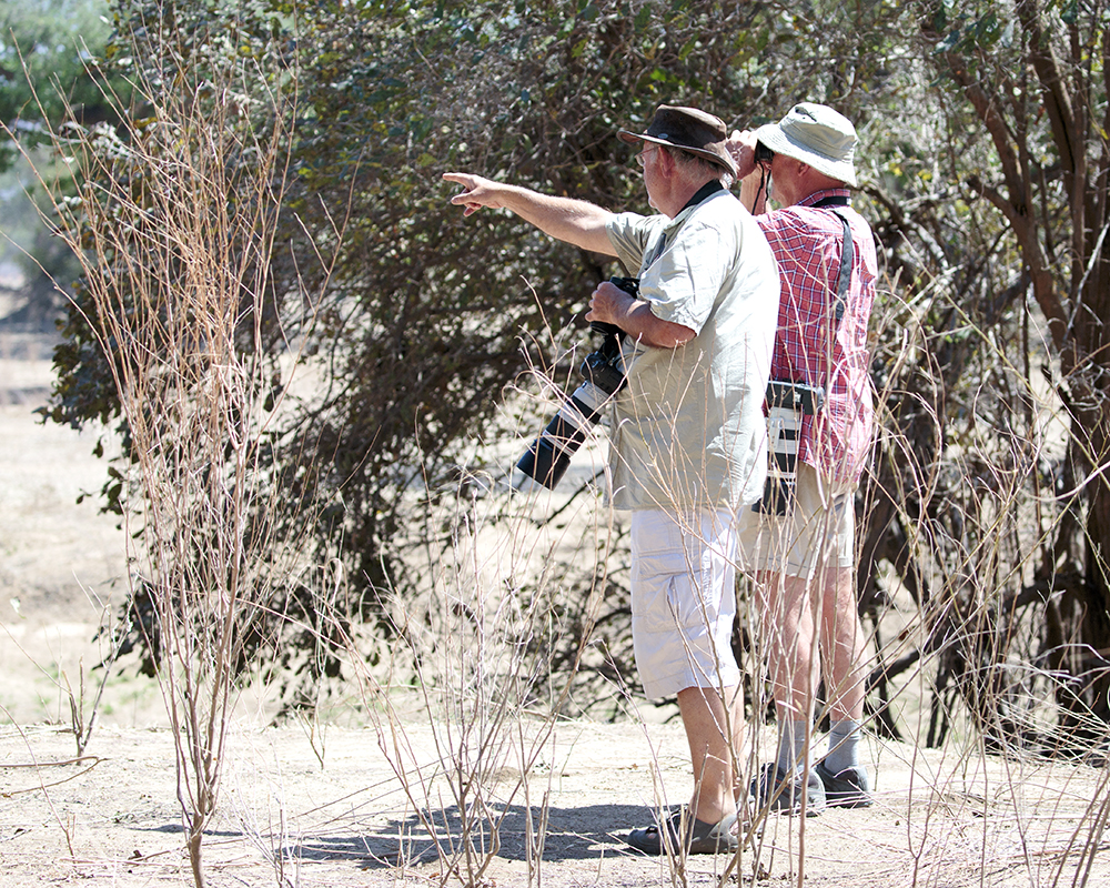 Mangwanani! Mana Pools - Image 19