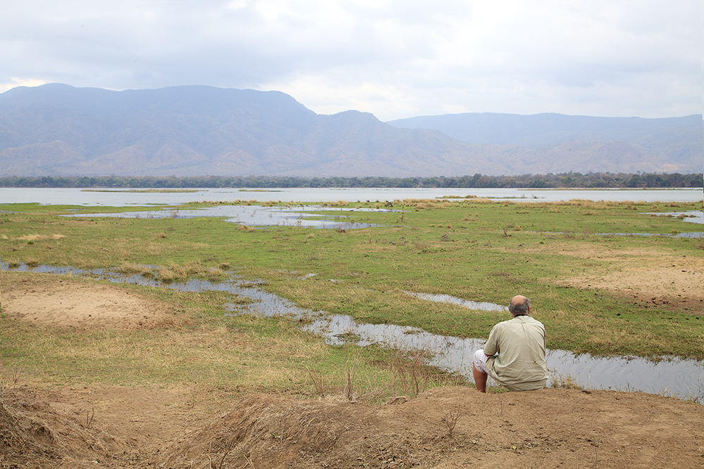 Mangwanani! Mana Pools - Image 20