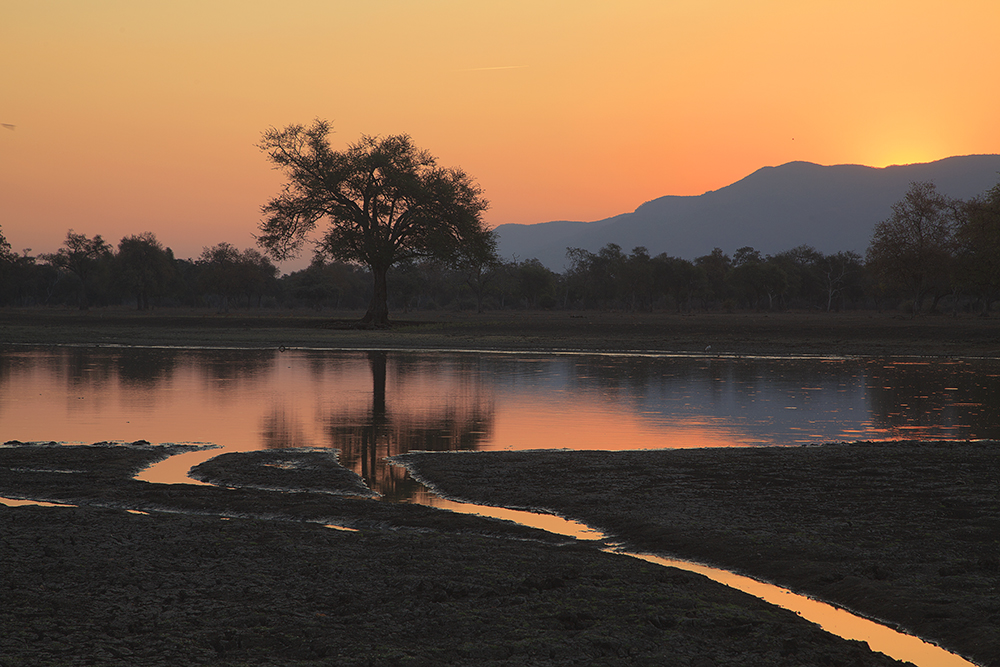 Mangwanani! Mana Pools - Image 23