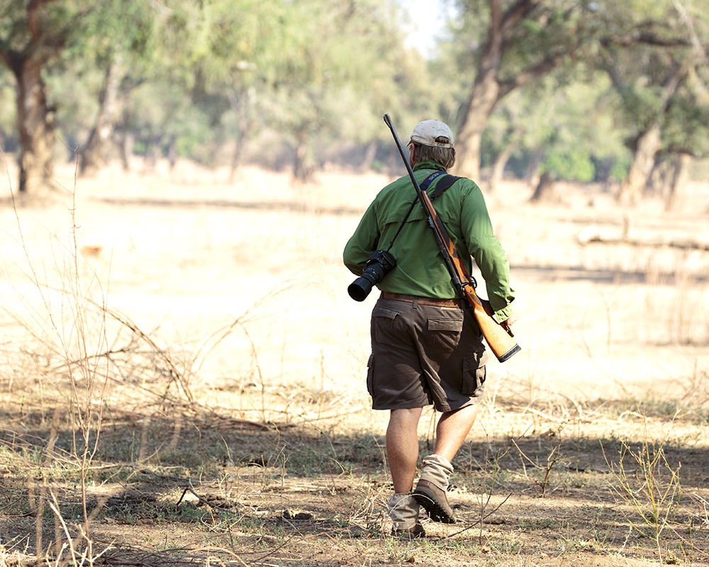 Mangwanani! Mana Pools - Image 79