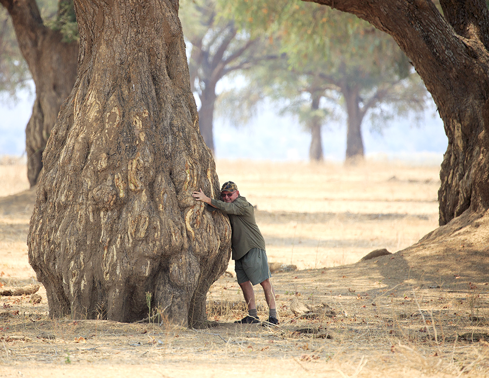 Mangwanani! Mana Pools - Image 82