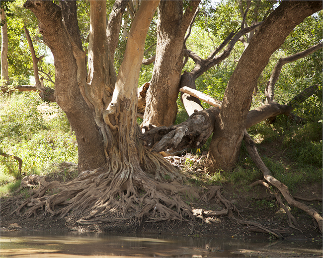 Meanderings During The Merry Month Of May - Image 10