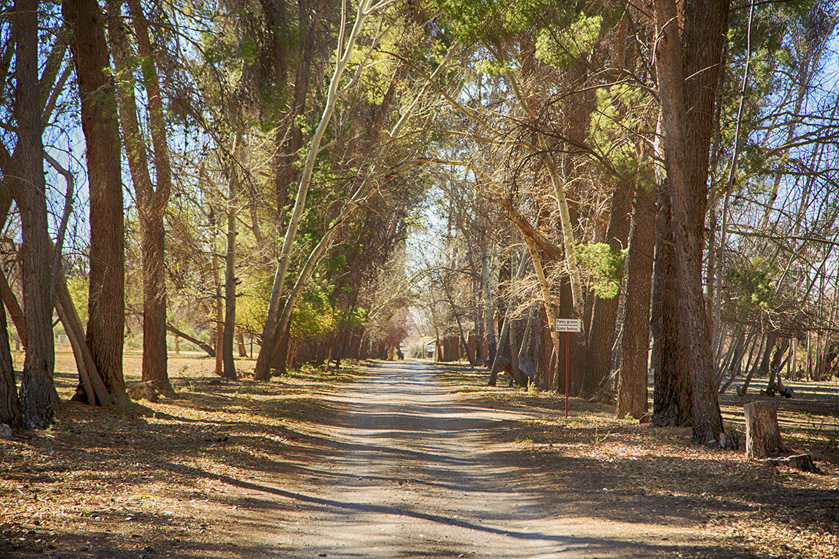 My Many Miles To Mabuasahube - Image 25