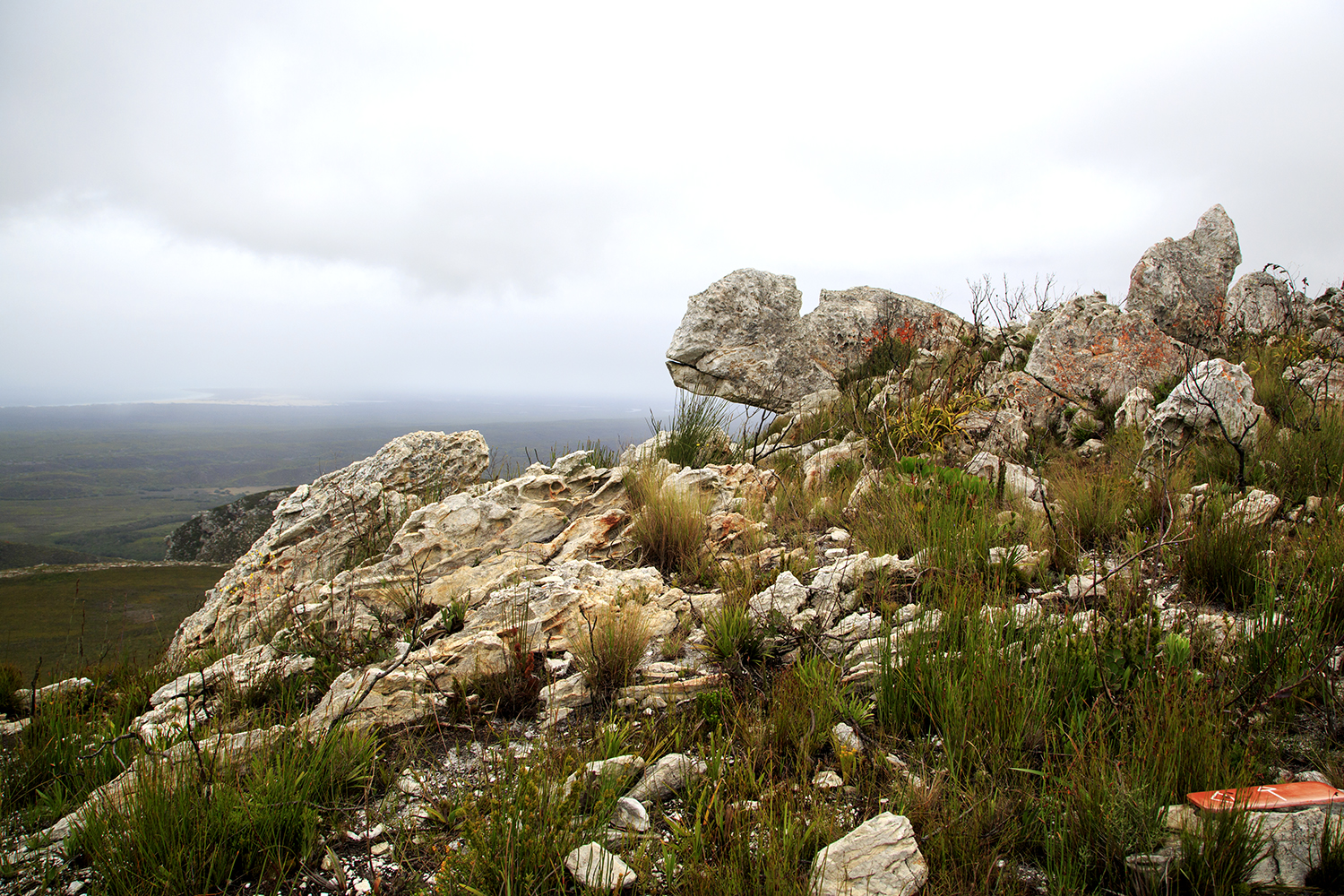 New Hats And Old Bats - Hiking The Whale Trail - Image 10