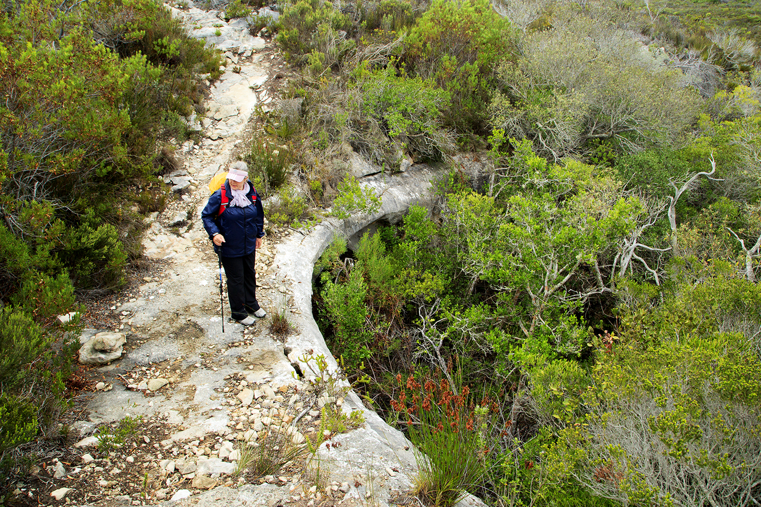 New Hats And Old Bats - Hiking The Whale Trail - Image 37