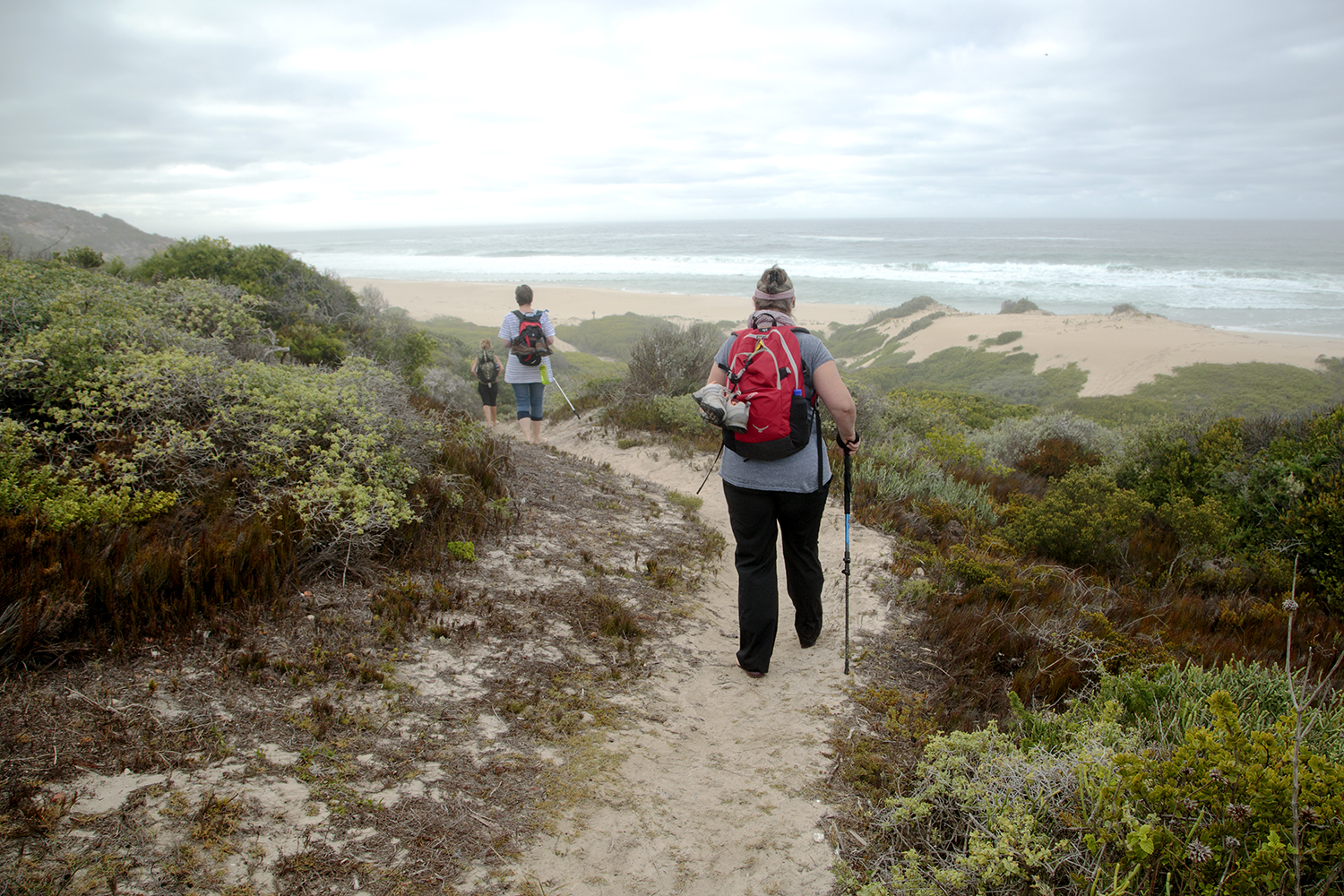New Hats And Old Bats - Hiking The Whale Trail - Image 38