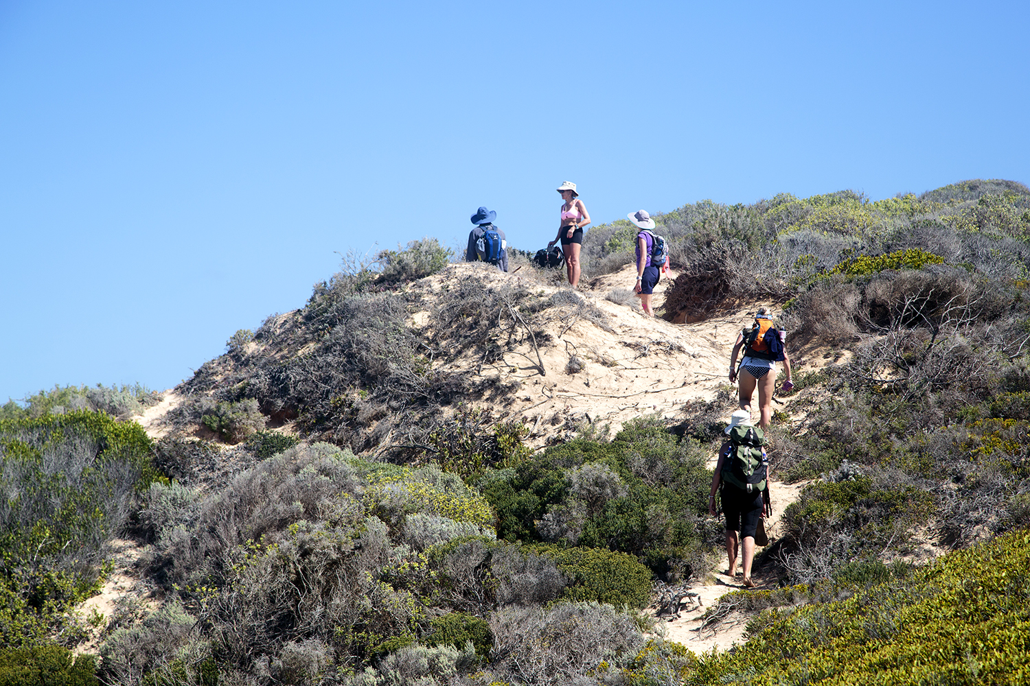 New Hats And Old Bats - Hiking The Whale Trail - Image 45
