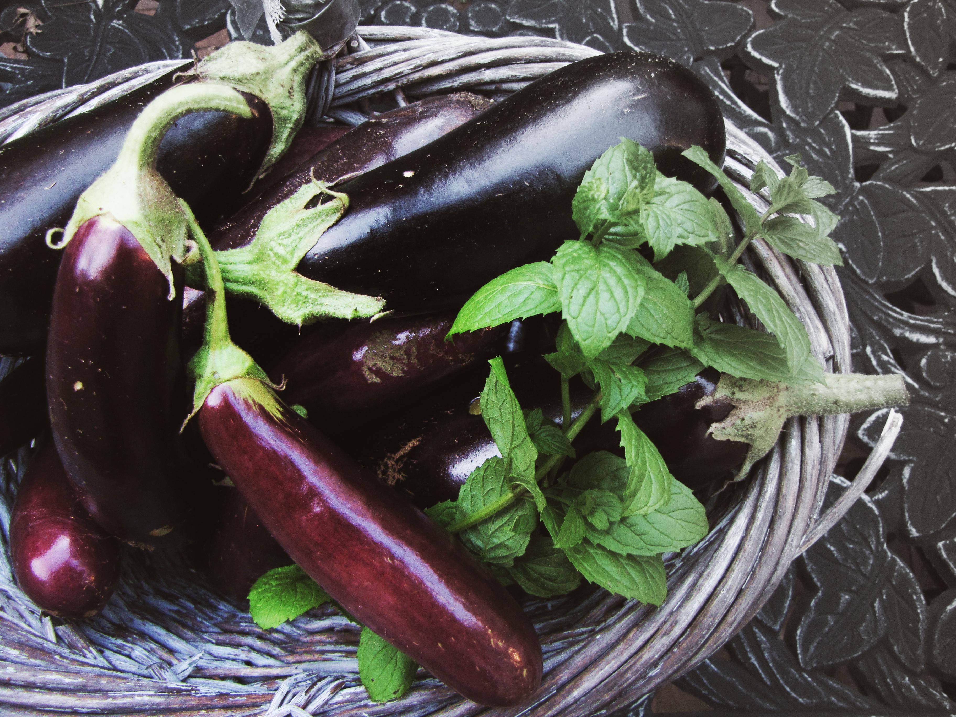 Rhubarbs reign here, Miss Figgy and Aubergine - Image 2