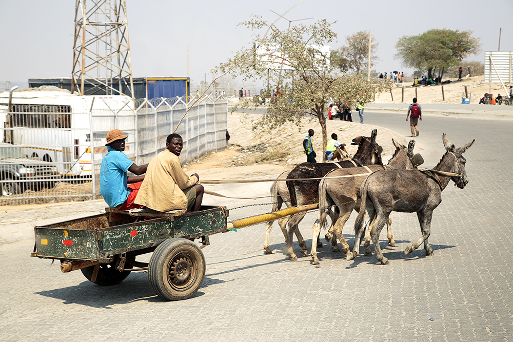 Roadtripping From Our Southern Shores to The Mighty Zambezi - Image 12