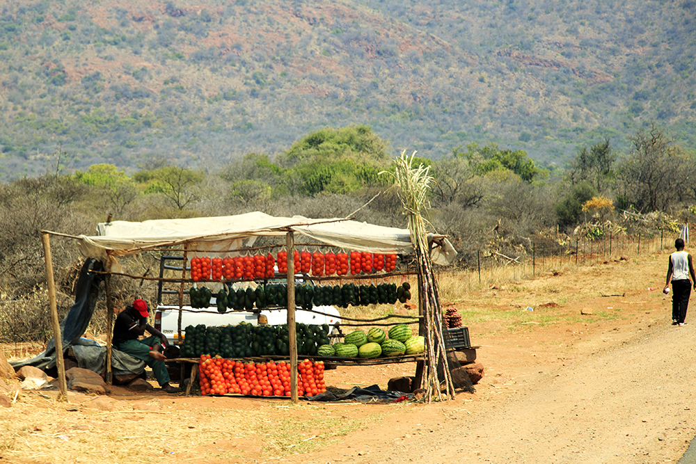 Roadtripping From Our Southern Shores to The Mighty Zambezi - Image 13