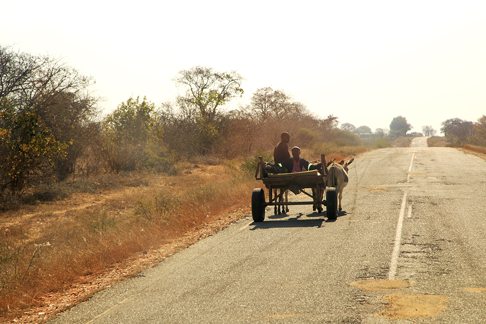 Roadtripping From Our Southern Shores to The Mighty Zambezi - Image 18
