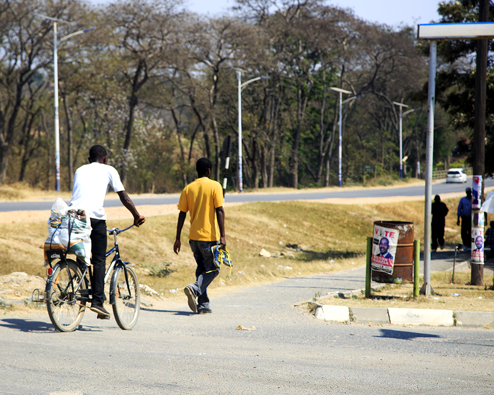 Roadtripping From Our Southern Shores to The Mighty Zambezi - Image 23
