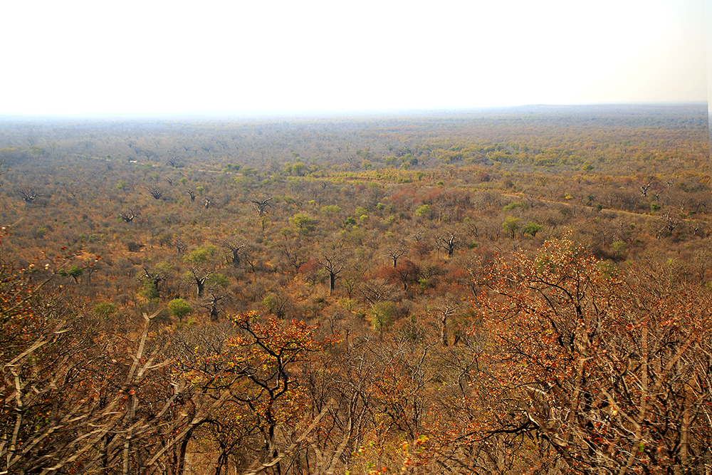 Roadtripping From Our Southern Shores to The Mighty Zambezi - Image 27