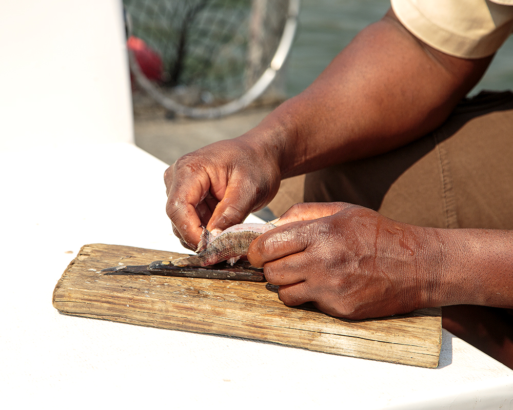 Roadtripping From Our Southern Shores to The Mighty Zambezi - Image 32