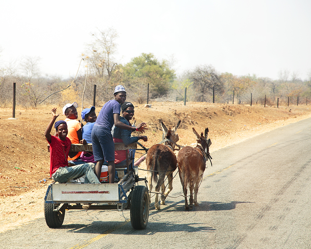 Roadtripping From Our Southern Shores to The Mighty Zambezi - Image 7