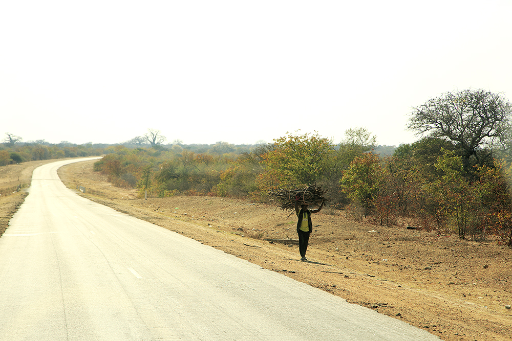 Roadtripping From Our Southern Shores to The Mighty Zambezi - Image 8