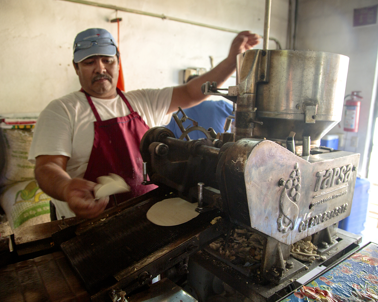 Sayulita Señorita - Image 50