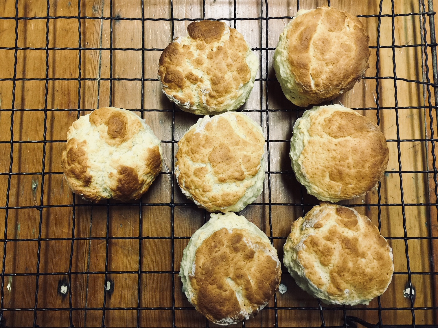Scones, Simply Whey Too Easy - Image 5