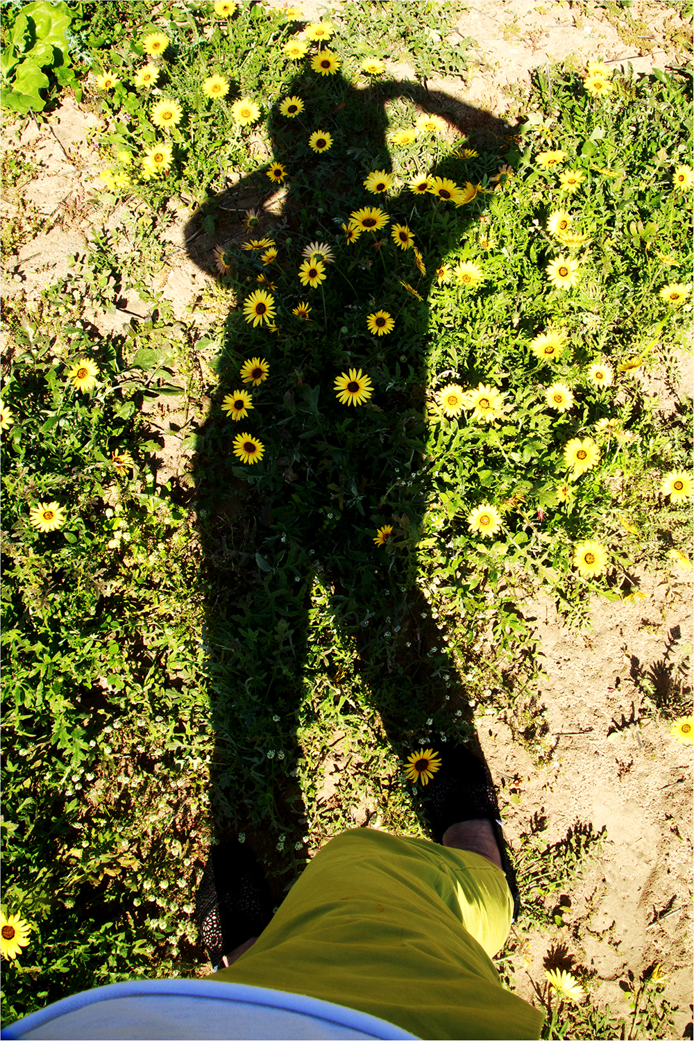 Singing Ching-Ching It's Spring - Image 21