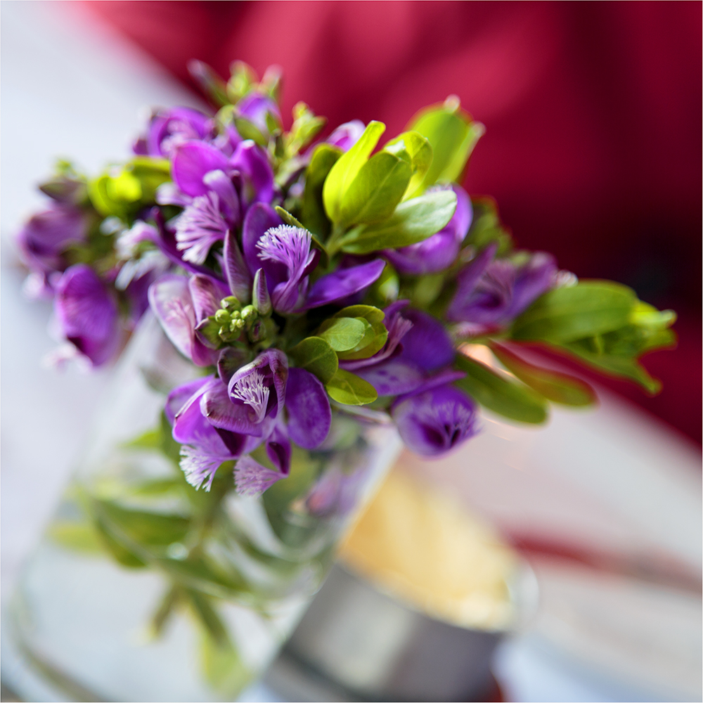 Singing Ching-Ching It's Spring - Image 39