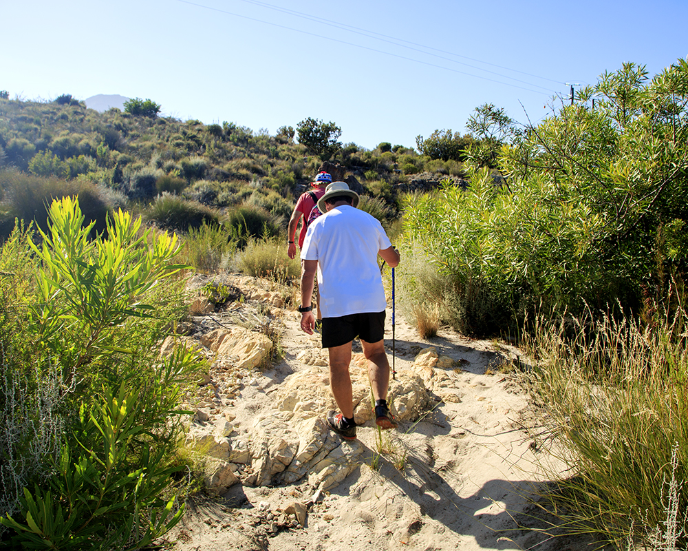 Suikerbossie Guest Farm Meander - A Review - Image 1