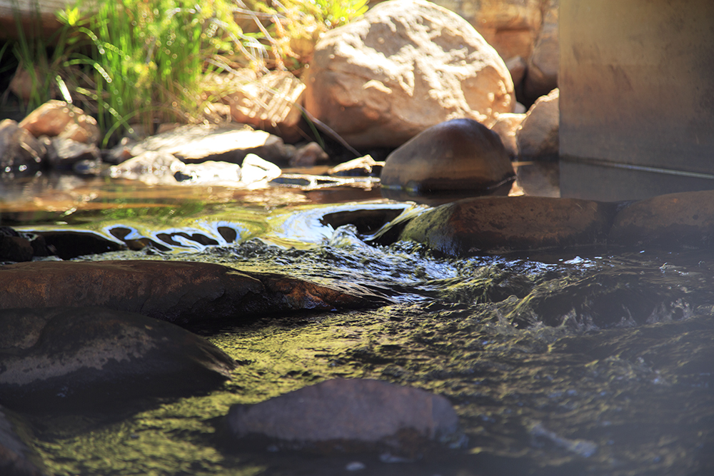 Suikerbossie Guest Farm Meander - A Review - Image 10