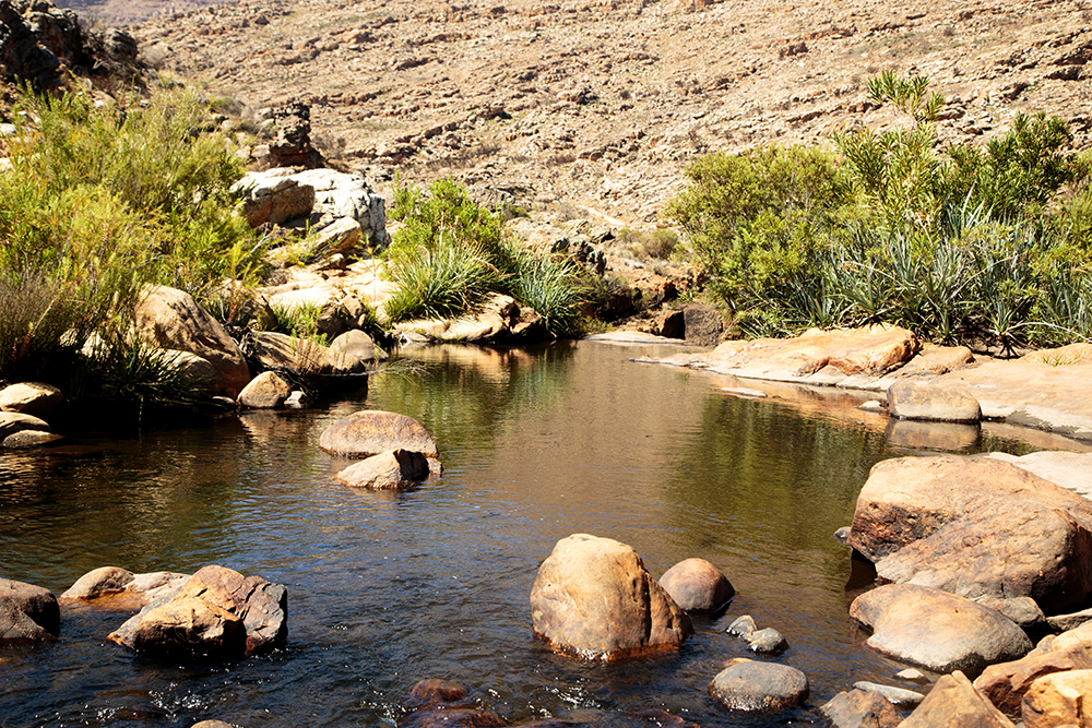 Suikerbossie Guest Farm Meander - A Review - Image 11