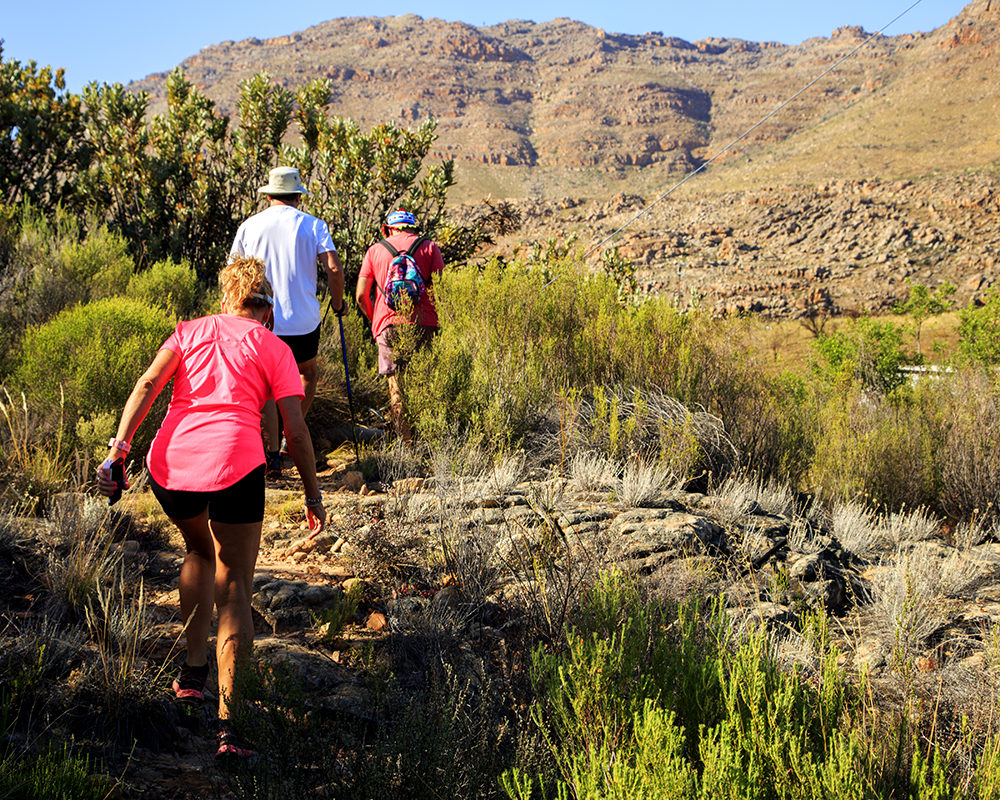 Suikerbossie Guest Farm Meander - A Review - Image 2