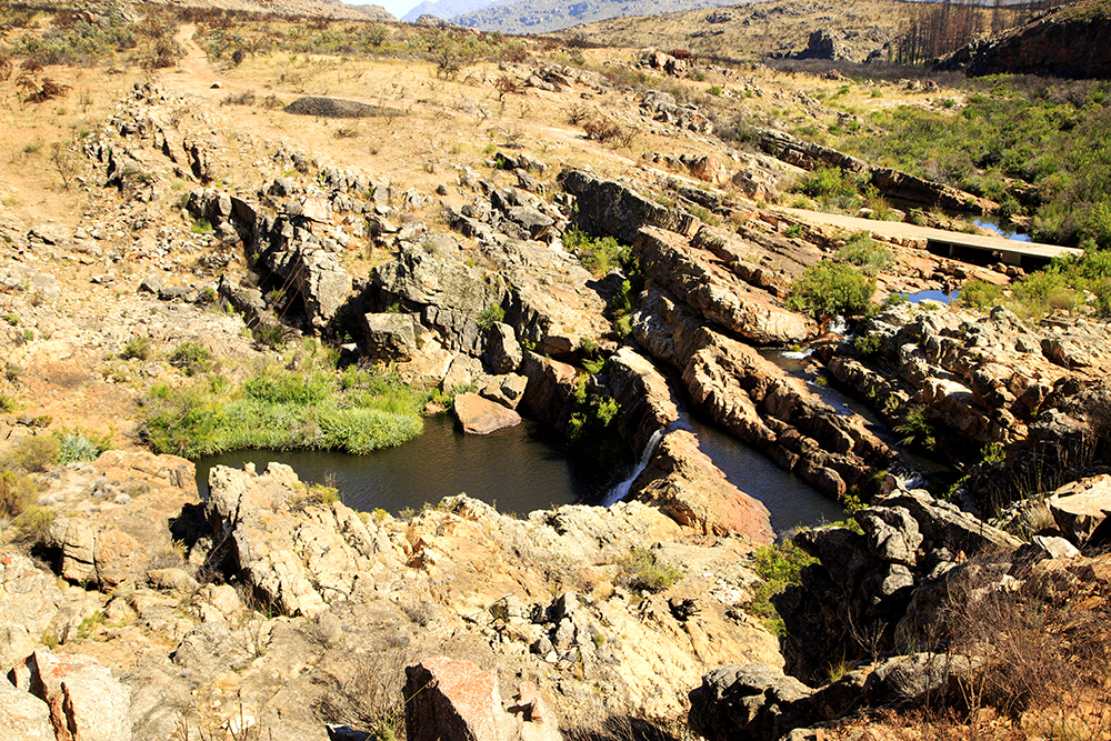 Suikerbossie Guest Farm Meander - A Review - Image 4