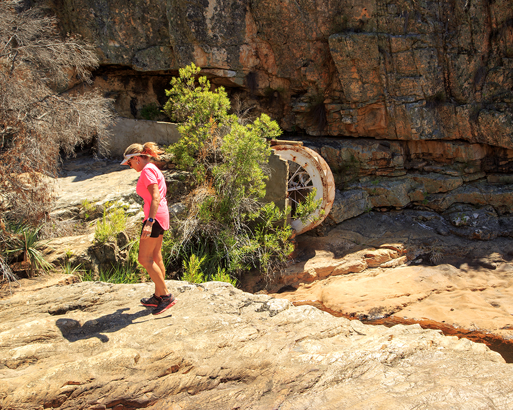 Suikerbossie Guest Farm Meander - A Review - Image 5