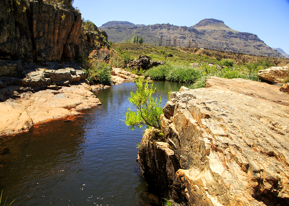 Suikerbossie Guest Farm Meander - A Review - Image 9