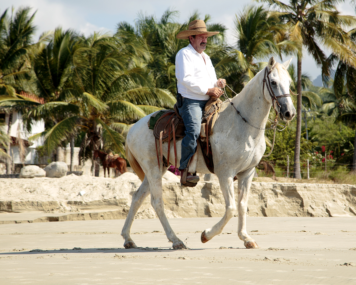 The Destination Wedding Vacation - Image 30