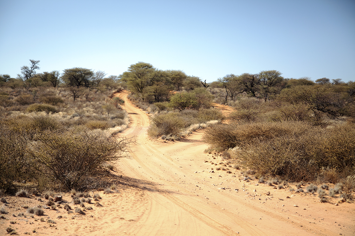 The Fab Four Conquer The Kalahari - En Route to Mabuasahube - Image 10